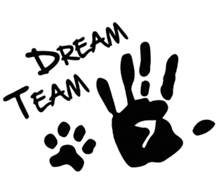 13-5 Dream Team